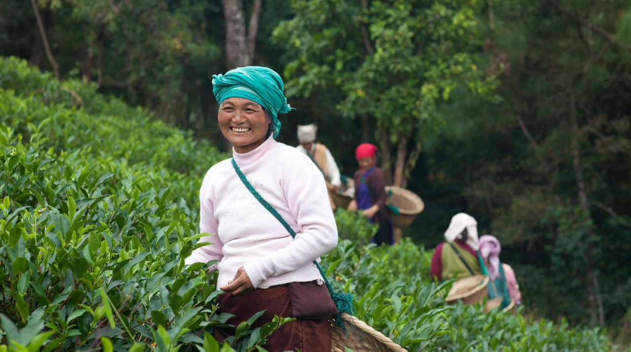 Meghalaya LaKyrsiew
